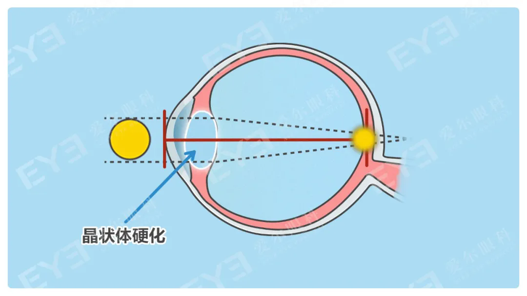 640.webp (3).png